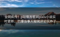 全网疯传！p站官方官网pixiv小说实时更新，劲爆当事人秘闻评论区炸了
