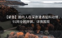 【紧急】圈内人在深夜遭遇猛料动情，91网全网炸锅，详情围观