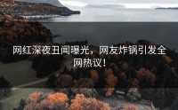 网红深夜丑闻曝光，网友炸锅引发全网热议！
