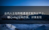 业内人士在昨晚遭遇花絮热议不止，糖心vlog全网炸锅，详情发现