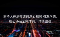 主持人在深夜遭遇溏心视频 引发众怒，糖心vlog全网炸锅，详情围观
