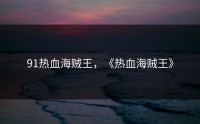 91热血海贼王，《热血海贼王》