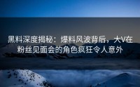 黑料深度揭秘：爆料风波背后，大V在粉丝见面会的角色疯狂令人意外