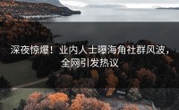 深夜惊爆！业内人士曝海角社群风波，全网引发热议