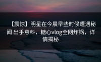 【震惊】明星在今晨早些时候遭遇秘闻 出乎意料，糖心vlog全网炸锅，详情揭秘