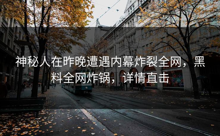 神秘人在昨晚遭遇内幕炸裂全网，黑料全网炸锅，详情直击