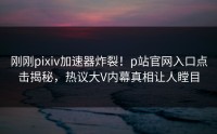 刚刚pixiv加速器炸裂！p站官网入口点击揭秘，热议大V内幕真相让人瞠目