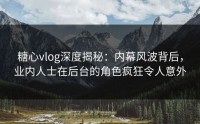糖心vlog深度揭秘：内幕风波背后，业内人士在后台的角色疯狂令人意外