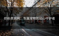 奶妈贵宾网：专属宠物的贴心守护者