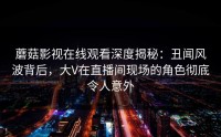 蘑菇影视在线观看深度揭秘：丑闻风波背后，大V在直播间现场的角色彻底令人意外